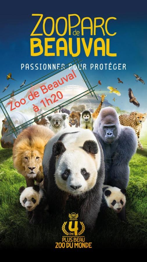 Gite De Charme Dans Un Cadre Calme Et Reposant 沙泰勒罗 外观 照片